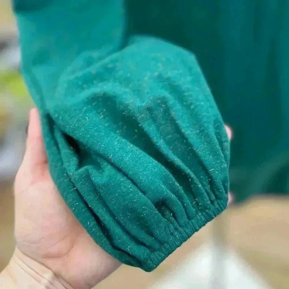 WVN Serena Long Sleeve Green Shift Dress Size Small NWT - Picture 9 of 11